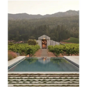 At Home in the Wine Country - _inventoryItem