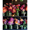 Blooms & Dreams - _inventoryItem