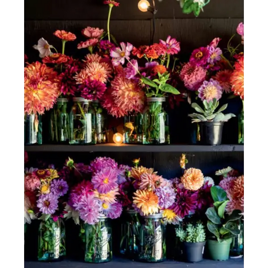 Blooms & Dreams - _inventoryItem