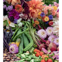 Blooms & Dreams - _inventoryItem