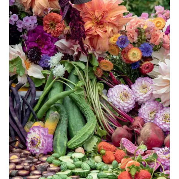 Blooms & Dreams - _inventoryItem