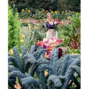 Blooms & Dreams - _inventoryItem
