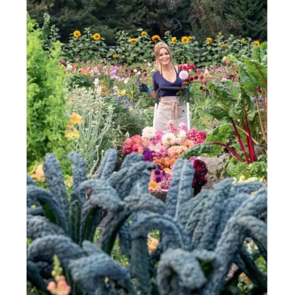 Blooms & Dreams - _inventoryItem