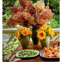 Celebrating Home - _inventoryItem