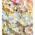 Daffodils