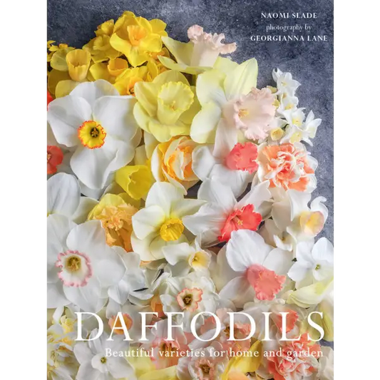 Daffodils