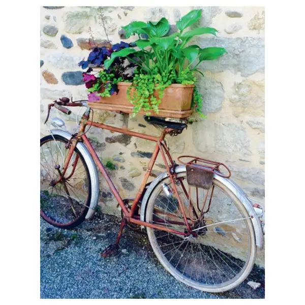 French from the Market