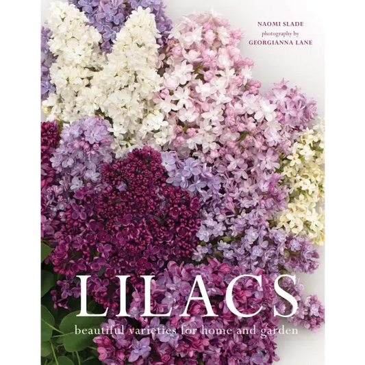 Lilacs - _inventoryItem