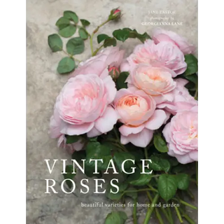 Vintage Roses - Gibbs Smith _inventoryItem