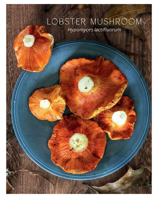 Mushroom Gastronomy