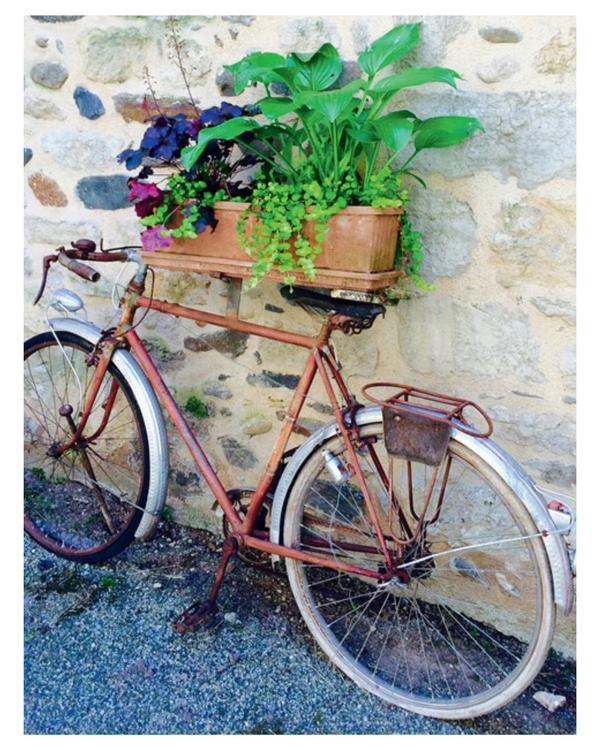 French from the Market