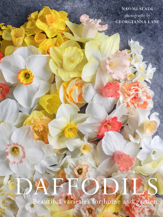 Daffodils