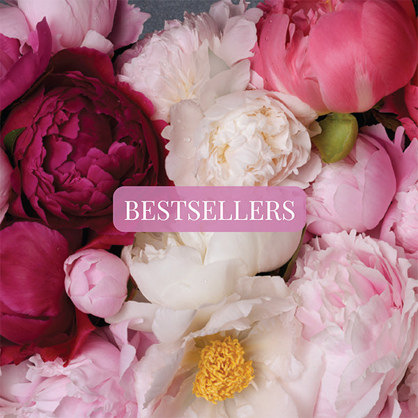 Photo of large pink peonies on a gray surface from the book Peonies 