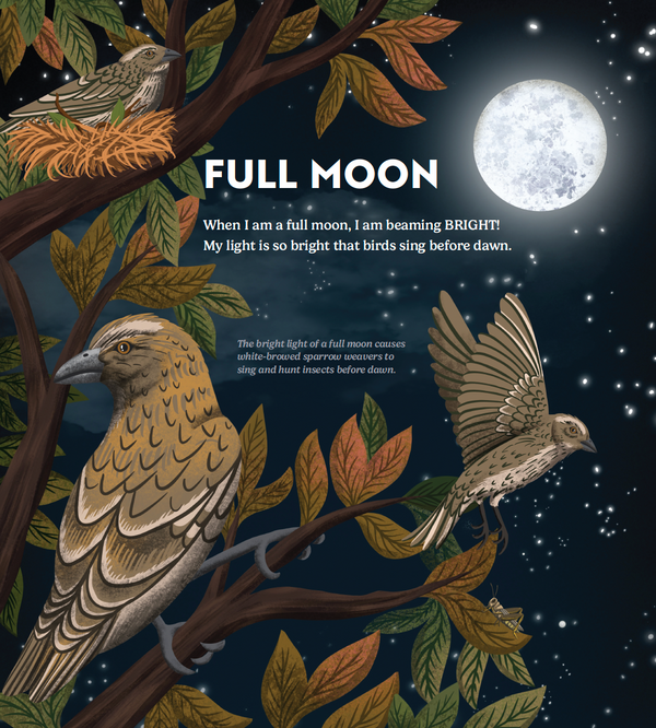 Wild Moon