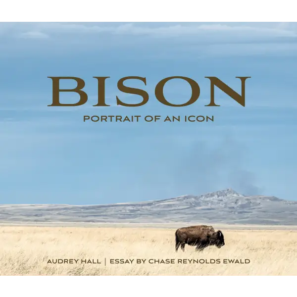 Bison