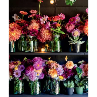 Blooms & Dreams - _inventoryItem