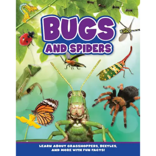 Bugs and Spiders - Flying Frog - 7 Cats