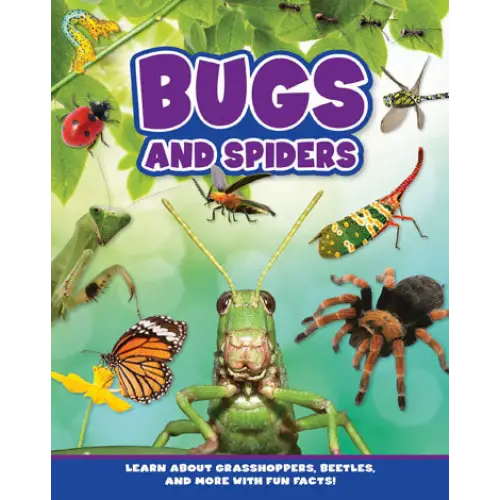 Bugs and Spiders - Flying Frog - 7 Cats