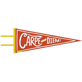 Carpe Some Diem (large pennant) - Spumoni - Trade