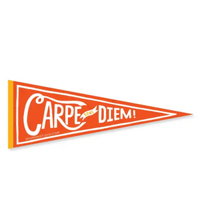 Carpe Some Diem (sticker)