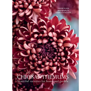 Chrysanthemums