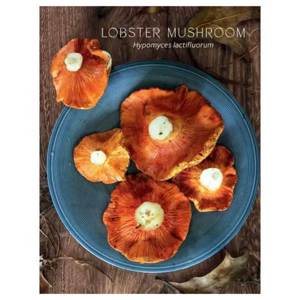Mushroom Gastronomy