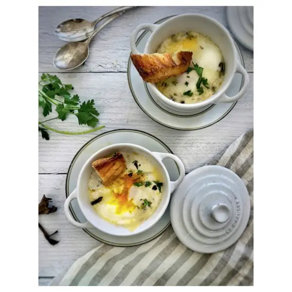 Mushroom Gastronomy