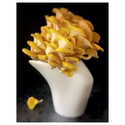 Mushroom Gastronomy