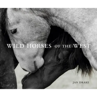 Wild Horses of the West