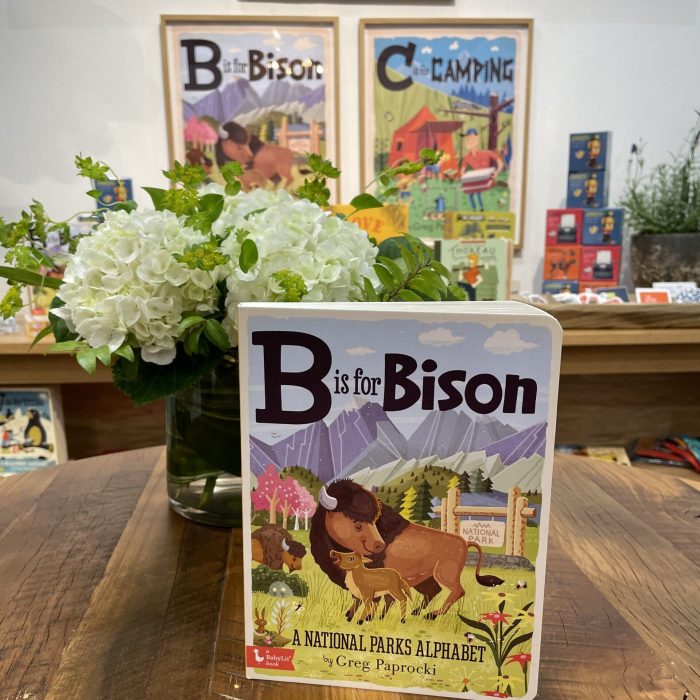 BisforBisonPhoto (2)