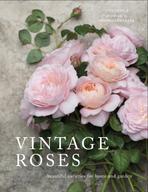 Screenshot 2025-07-17 at 9.56.52 AM